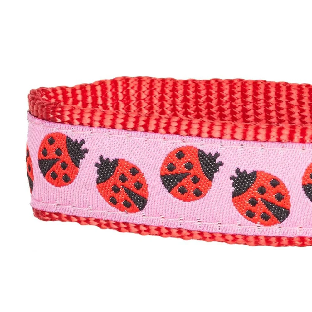 Blueberry Pet Ladybug Designer Basic Dog Collar - Image 4