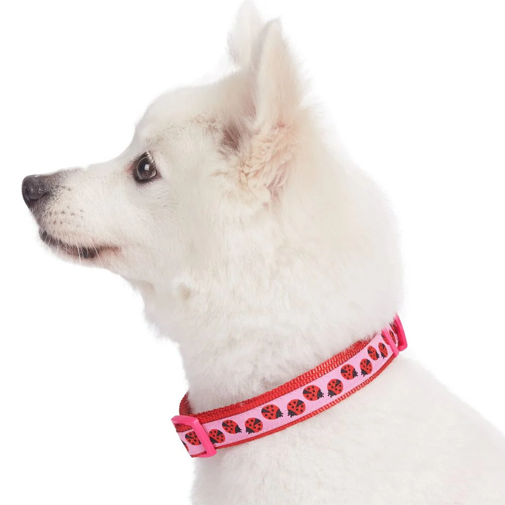 Blueberry Pet Ladybug Designer Basic Dog Collar - Image 6