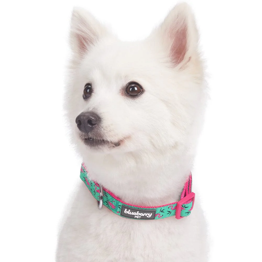 Blueberry Pet Pink Flamingo Light Emerald Dog Collar - Image 2