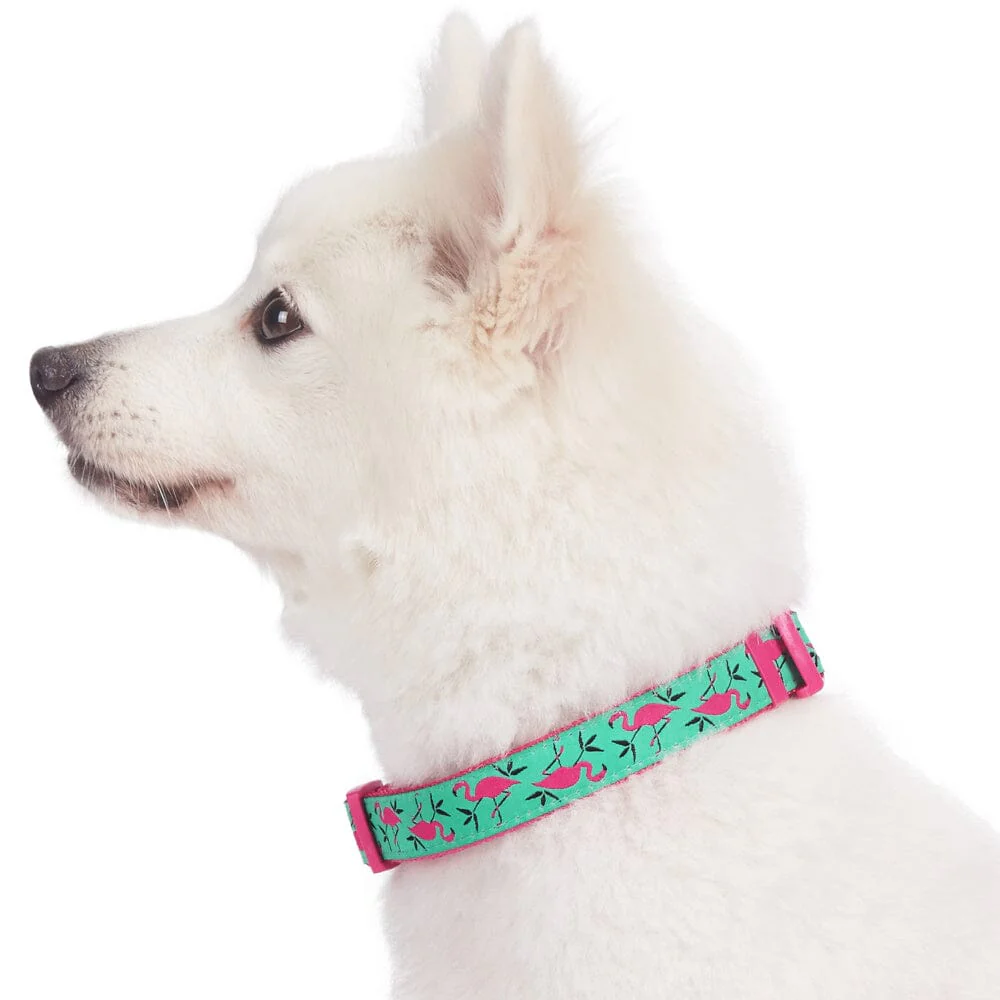 Blueberry Pet Pink Flamingo Light Emerald Dog Collar - Image 5