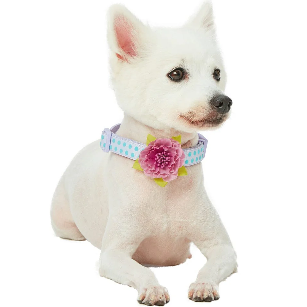 Blueberry Pet Polka Dot Flocking Adjustable Dog Collar, Pastel Purple with Detachable Velvety Flower - Image 2