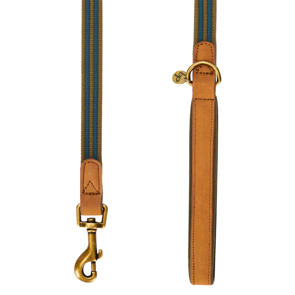 Blueberry Pet Polyester Fabric Webbing and Soft Genuine Leather Dog Leash with Soft and Comfortable Handle, Navy and Olive - Image 3