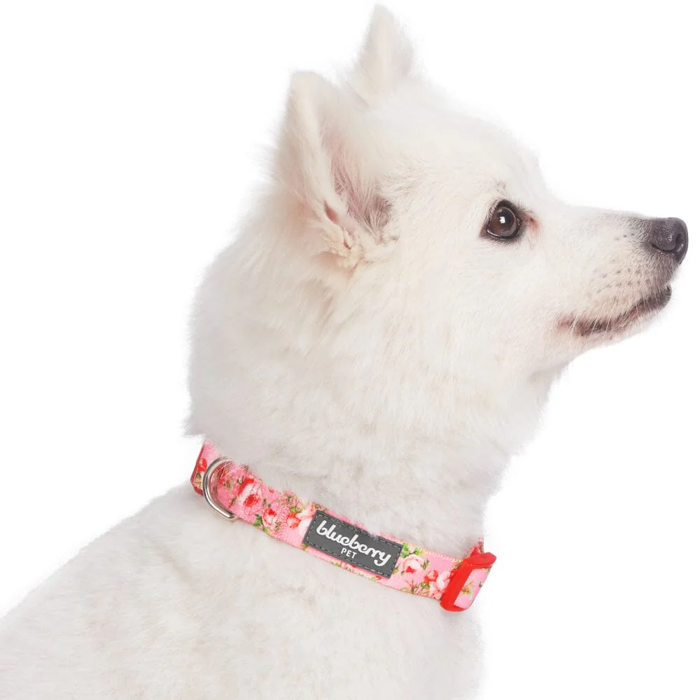 Blueberry Pet Spring Scent Inspired Floral Rose Adjustable Dog Collar, Baby Pink - Image 2