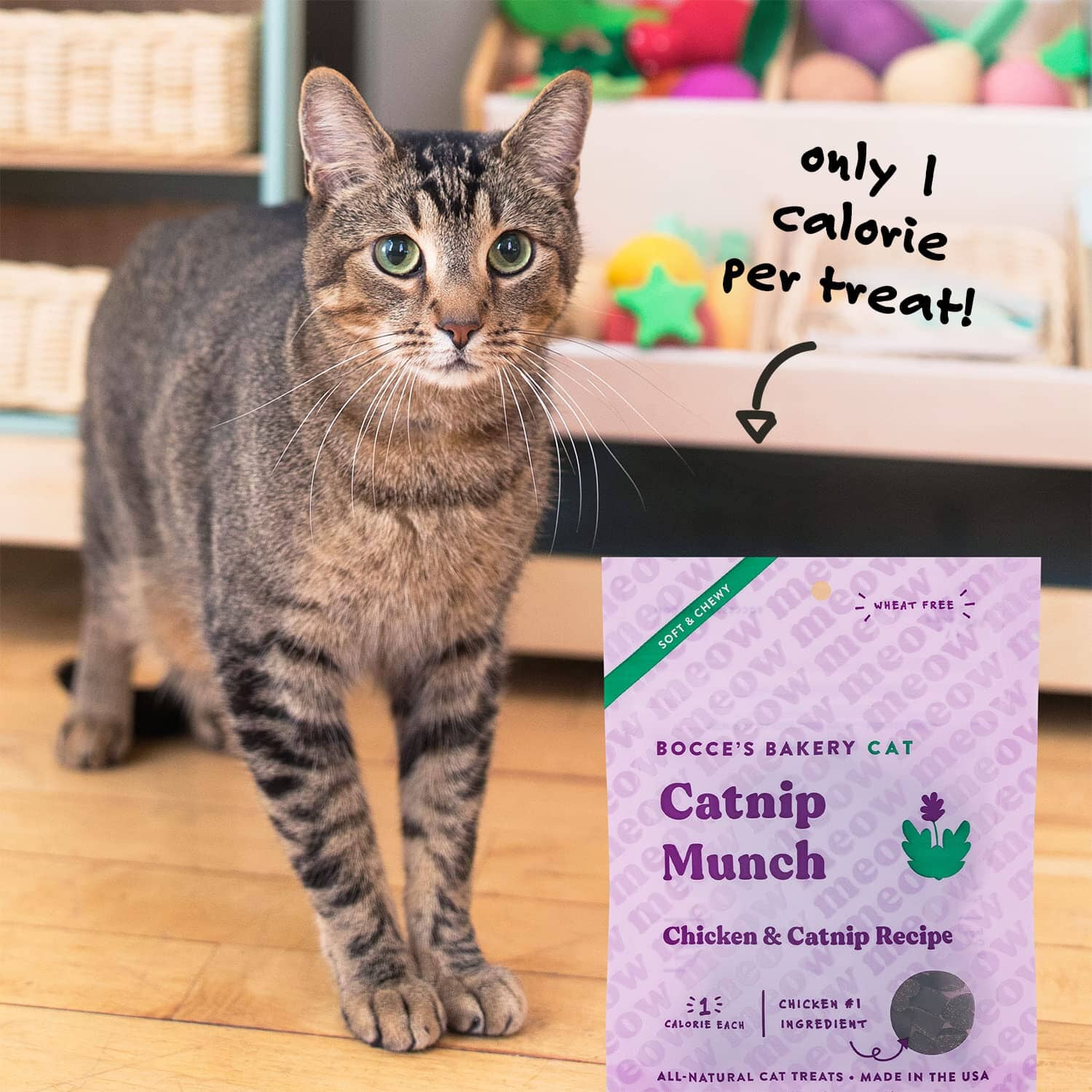 Bocce's Bakery Made in USA Crispy Chikn Limited Ingredient Diet Chicken and Carrots Crunchy Cat Treats - 2 Oz - Image 7