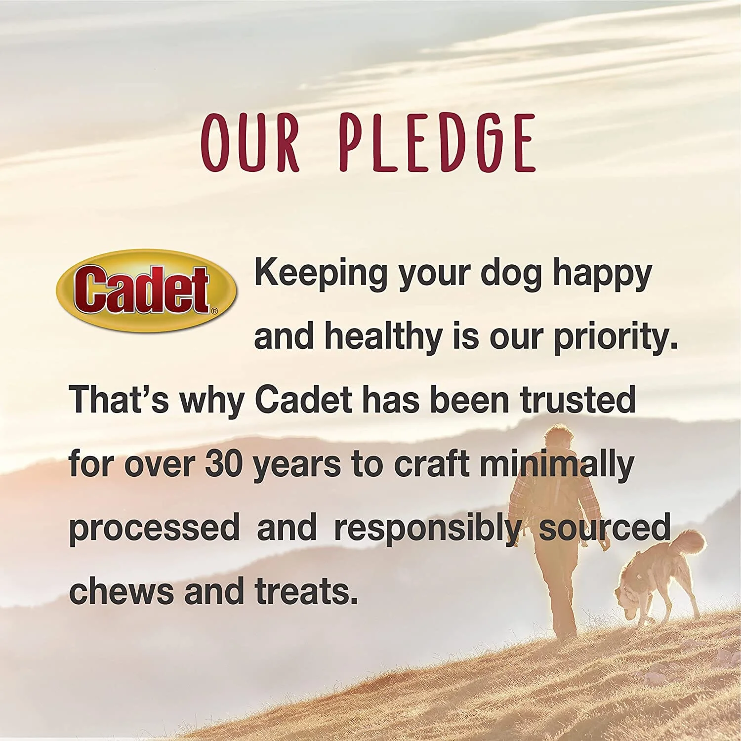 Cadet Gourmet Natural Shin Bone Natural Dog Chews - 6 - 7 In - 12 Pack - Image 3