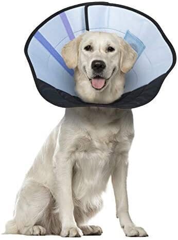 Calm Paws Caring Dog Collar with Calming Disk for Dogs - Large - Image 2