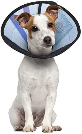 Calm Paws Caring Dog Collar with Calming Disk for Dogs - Small - Image 3