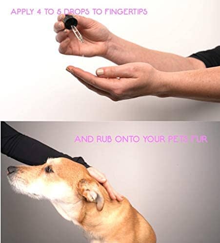 Calm Paws Essential Oil Cool Itch Relief for Dogs - Chamomile - 1 Oz - Image 2