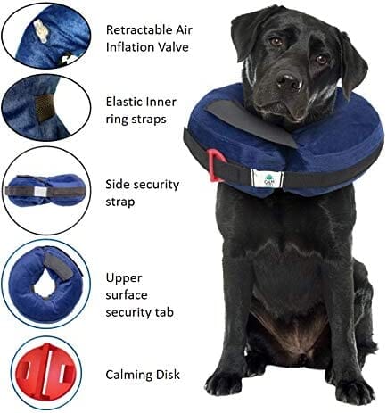 Calm Paws Protective Inflatable Dog Collar with Dog Calming Disk - Large - Image 4