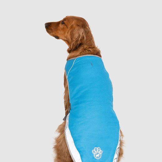 Canada Pooch Chill Seaker Cooling Dog Vest - Image 2