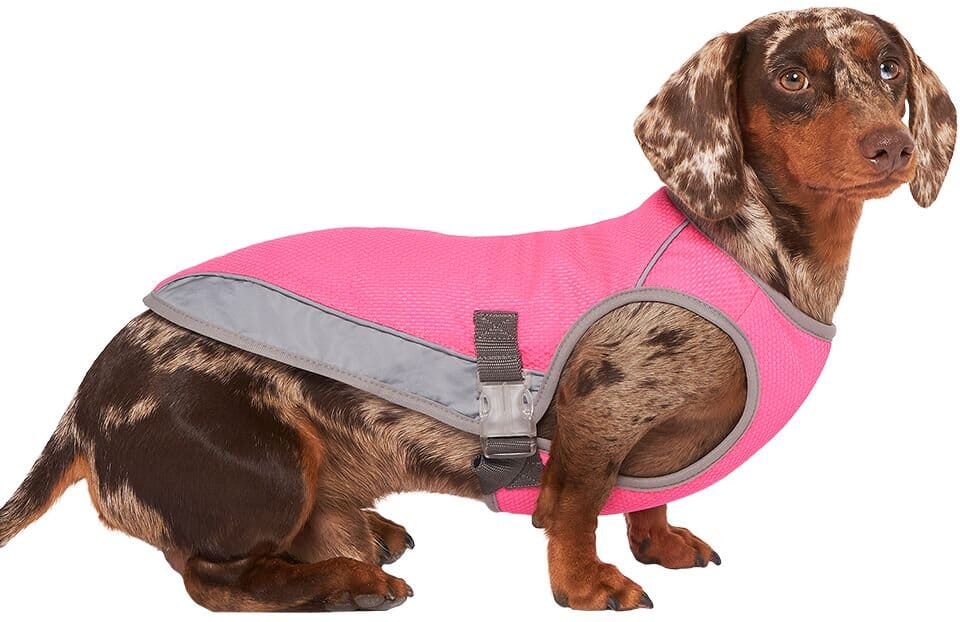 Canada Pooch Chill Seaker Cooling Dog Vest - Image 7