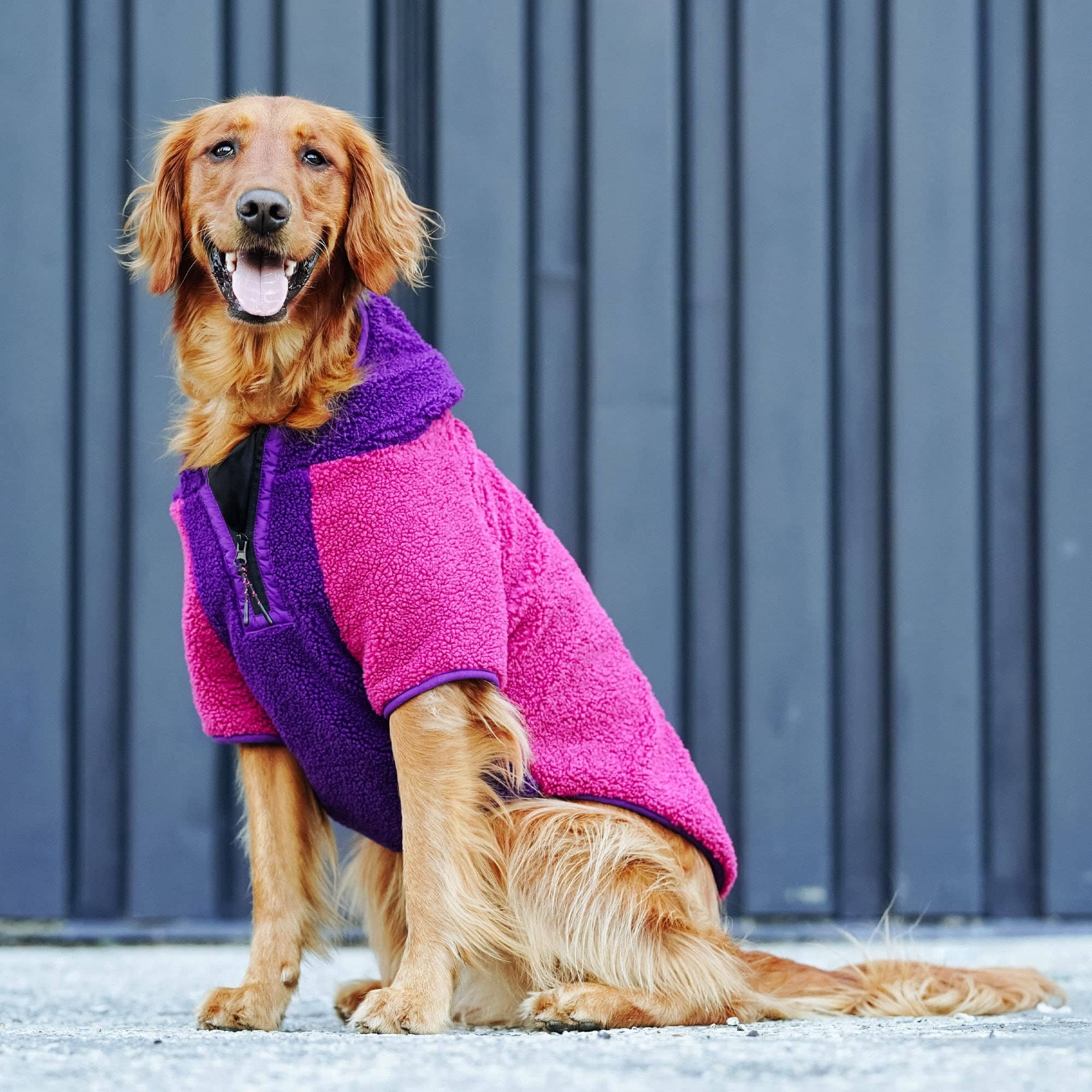 Canada Pooch Cool Factor Performance Dog Hoodie - Image 10