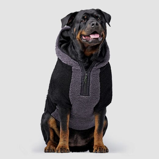 Canada Pooch Cool Factor Performance Dog Hoodie - Image 3