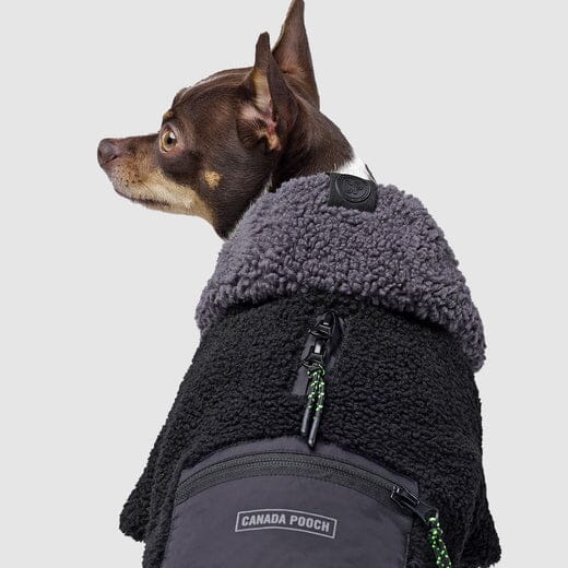 Canada Pooch Cool Factor Performance Dog Hoodie - Image 4
