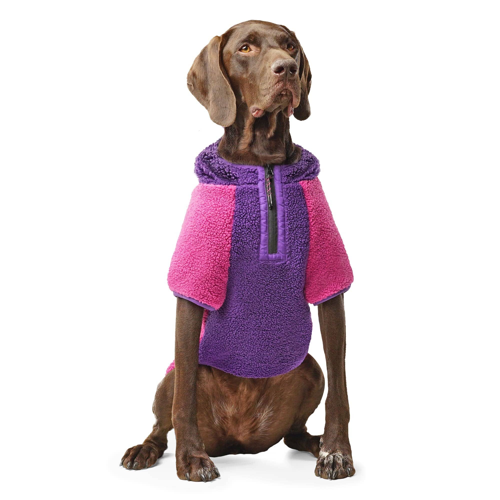 Canada Pooch Cool Factor Performance Dog Hoodie - Image 5