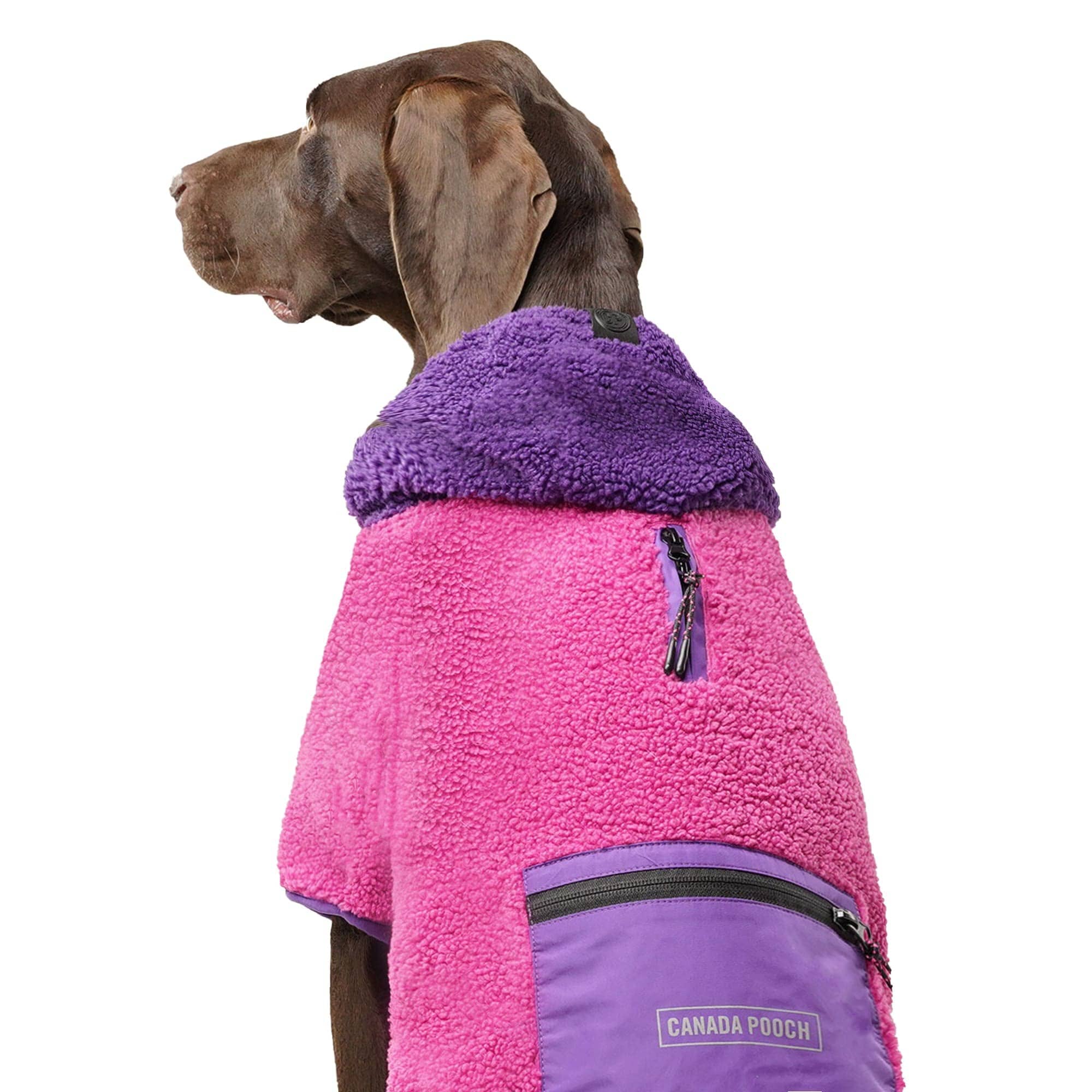 Canada Pooch Cool Factor Performance Dog Hoodie - Image 7