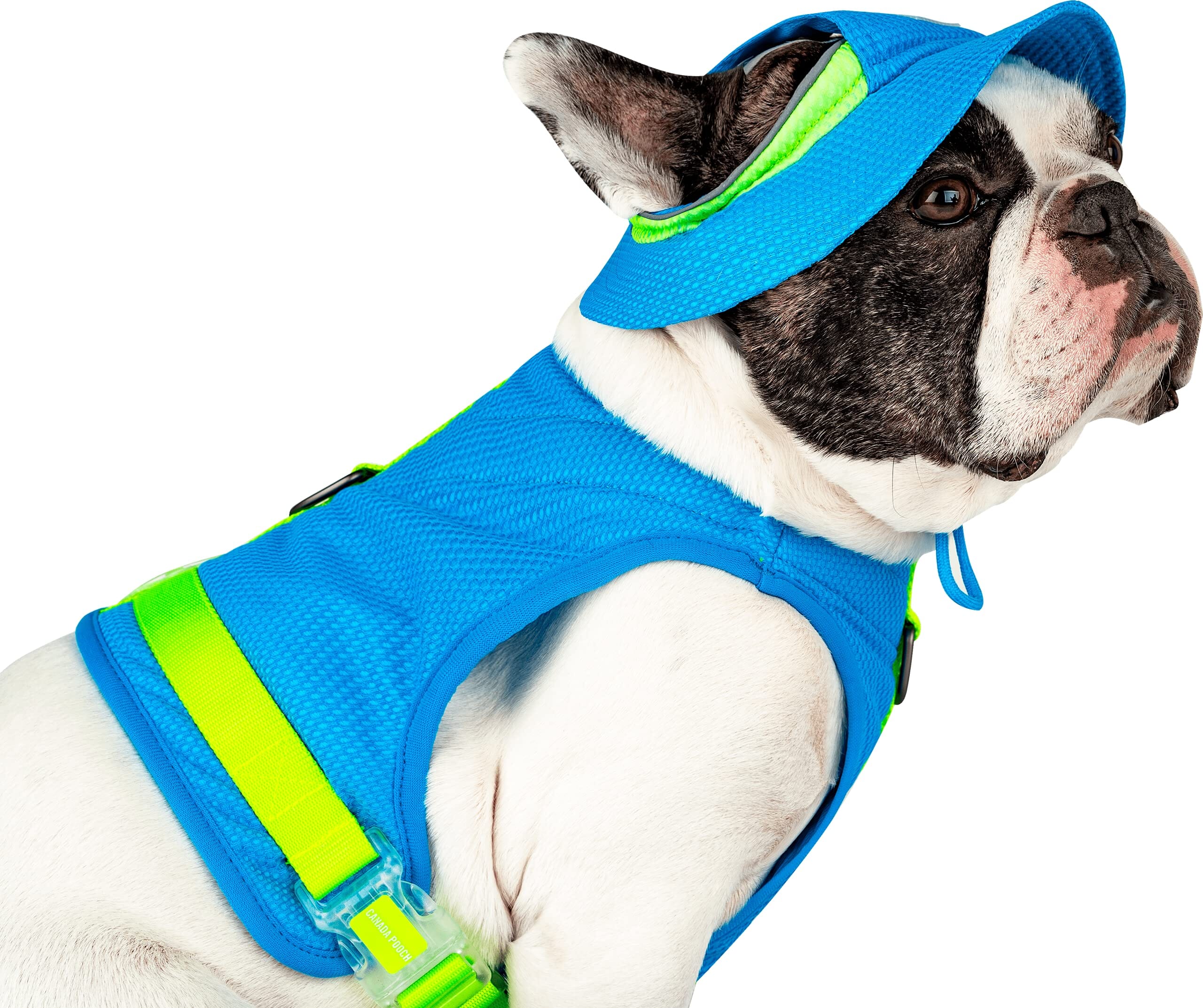 Canada Pooch Cooling Bucket Dog Hat - Blue - Extra Large - Image 2