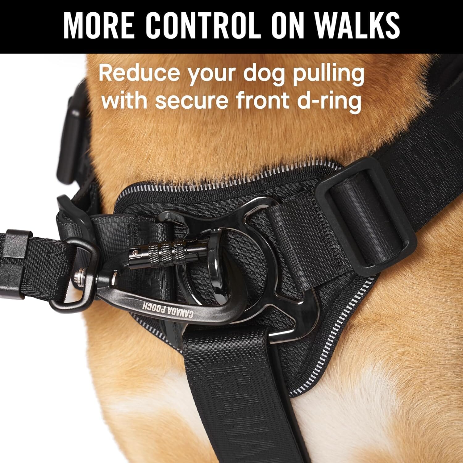 Canada Pooch Core Complete Control Dog Harness and Leash - Black - Image 2