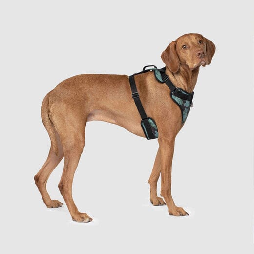 Canada Pooch Core Water-Resistant Everything Dog Harness - Camo - Image 3