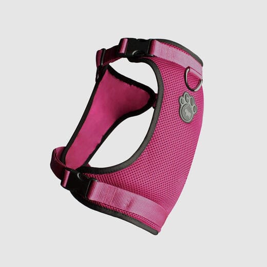 Canada Pooch Core Water-Resistant Everything Mesh Dog Harness - Image 5