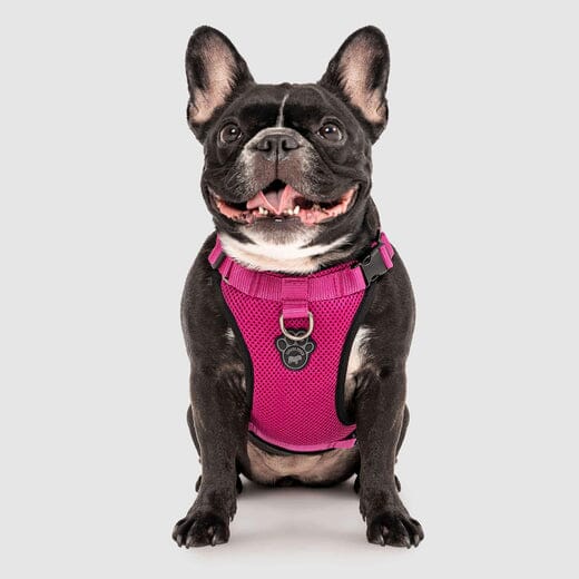 Canada Pooch Core Water-Resistant Everything Mesh Dog Harness - Image 6