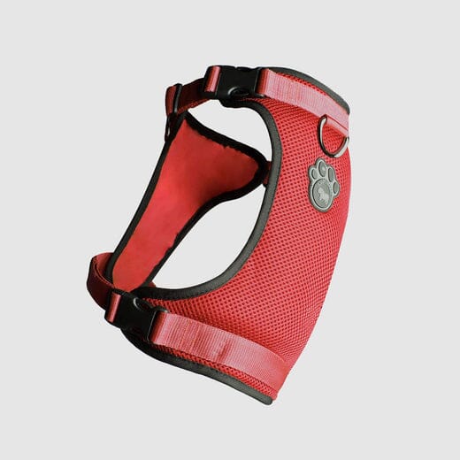 Canada Pooch Core Water-Resistant Everything Mesh Dog Harness - Image 9