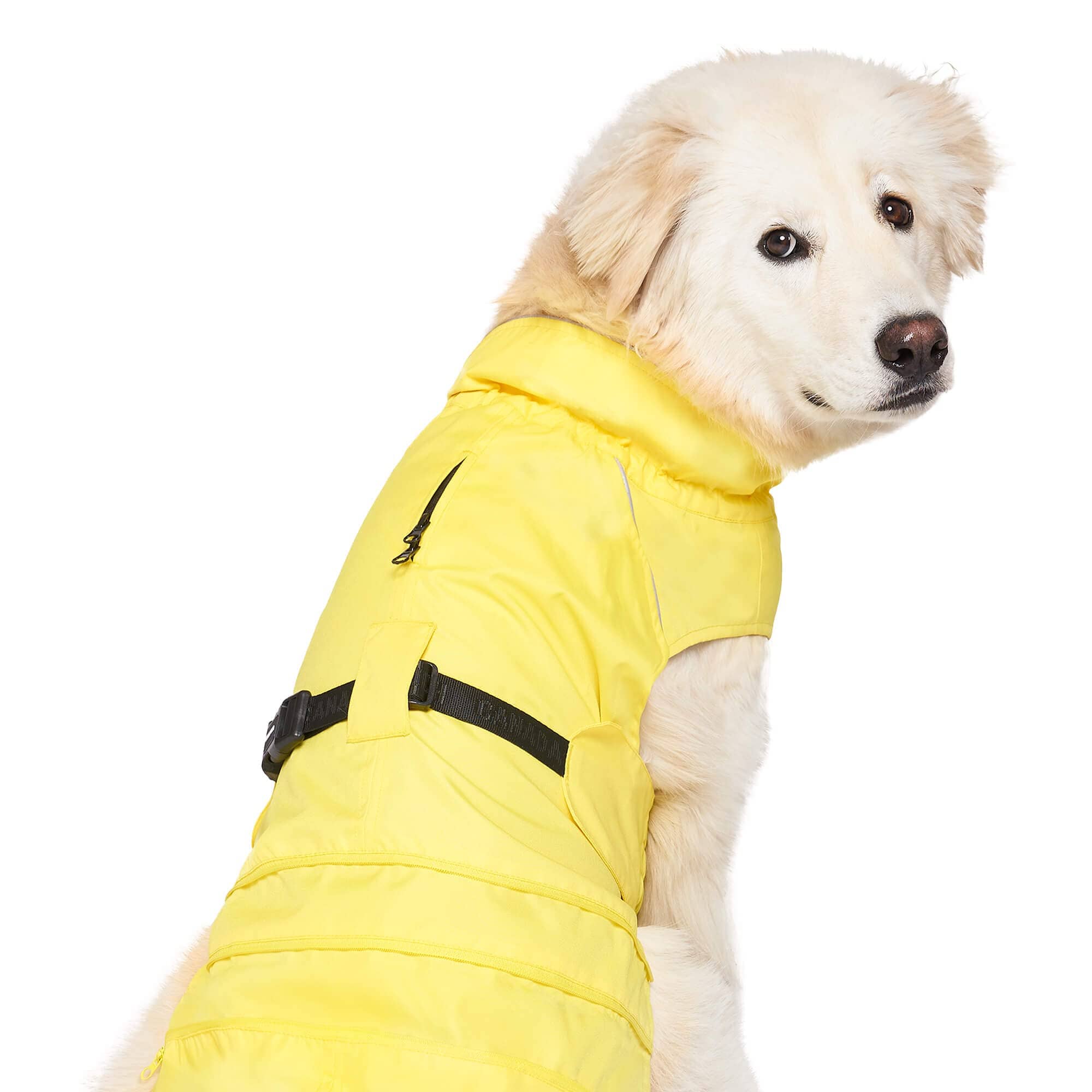 Canada Pooch Grow with Me Dog Raincoat - Yellow - Image 5