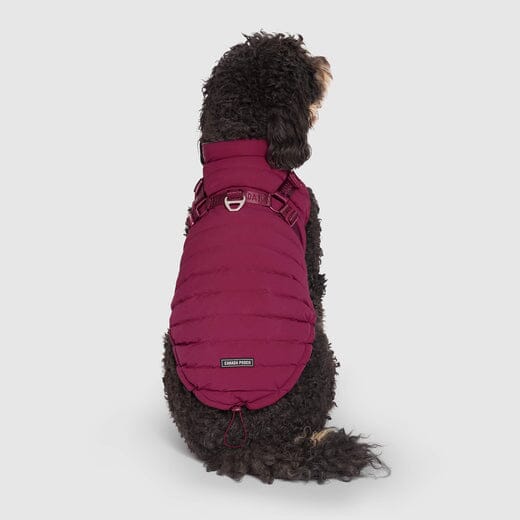Canada Pooch Harness Puffer 2-in-1 Dog Coat and Harness - Image 6