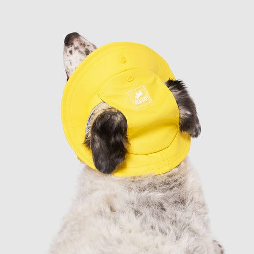 Canada Pooch Torrential Tracker Dog Hat - Yellow - Image 3