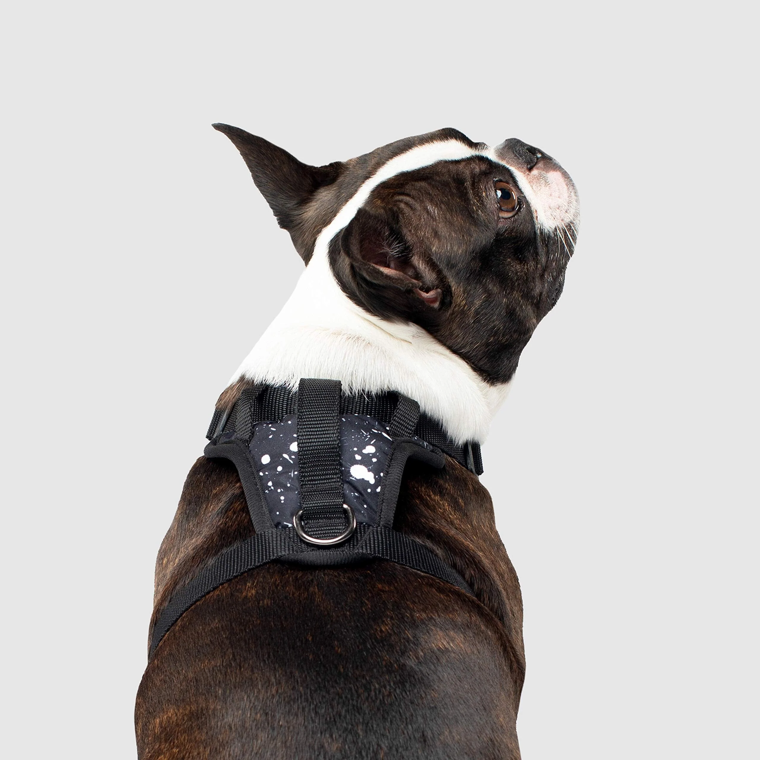 Canada Pooch Water-Resistent Everything Dog Harness - Image 10