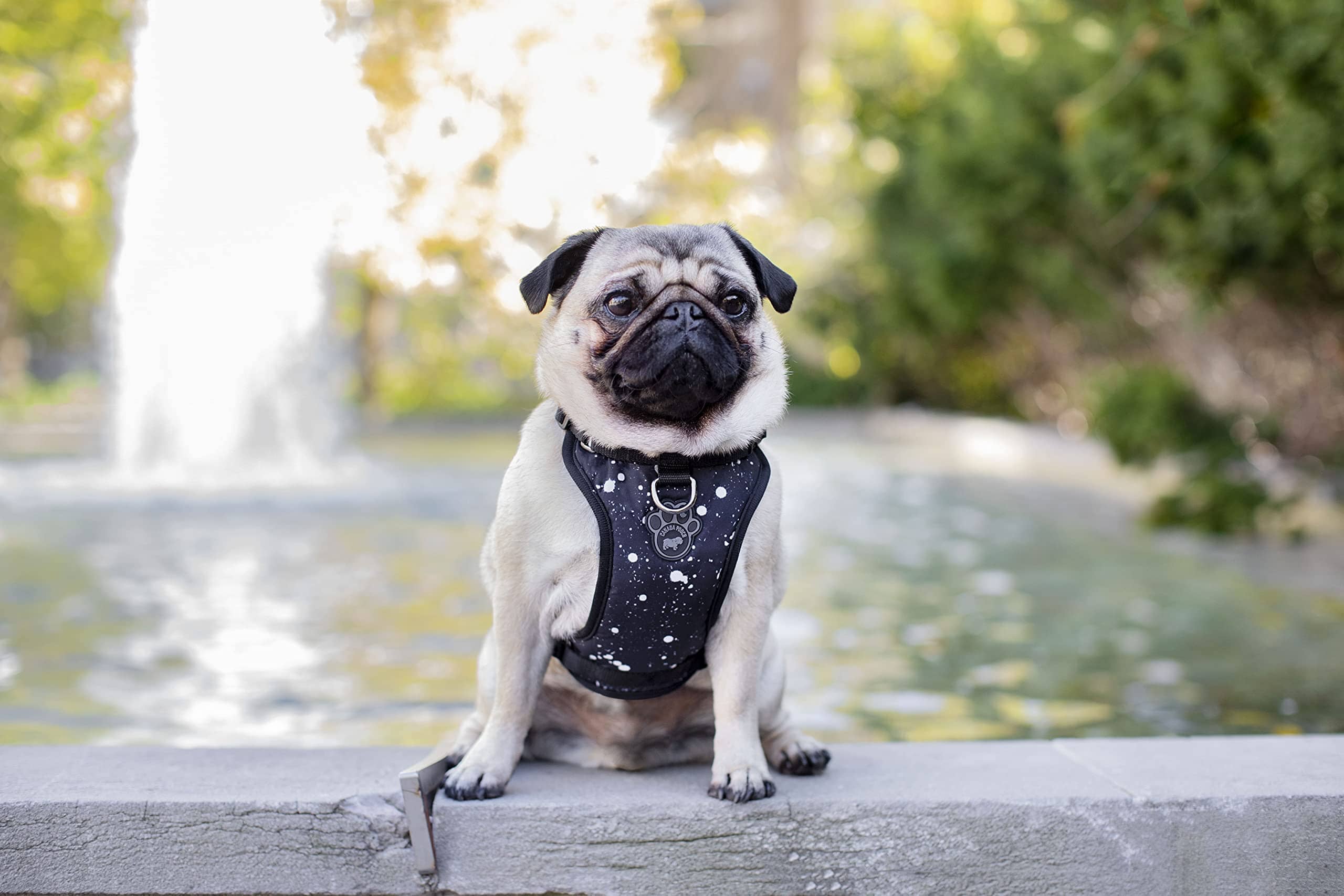 Canada Pooch Water-Resistent Everything Dog Harness - Image 12