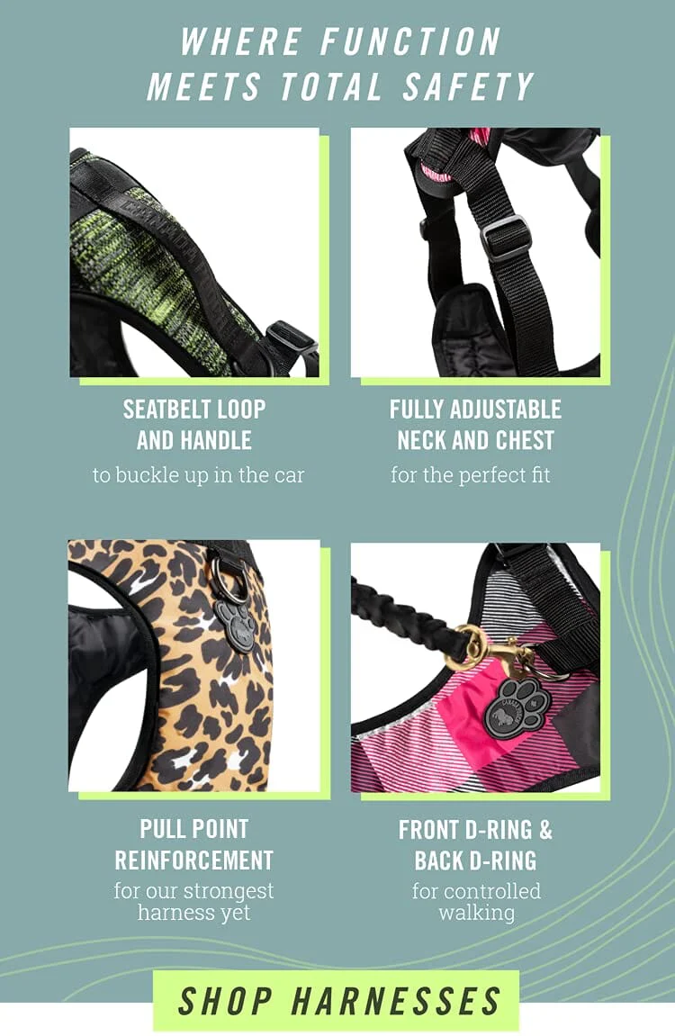 Canada Pooch Water-Resistent Everything Dog Harness - Image 13