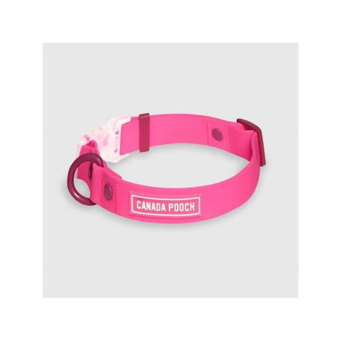 Canada Pooch Waterproof Dog Collar - Image 2