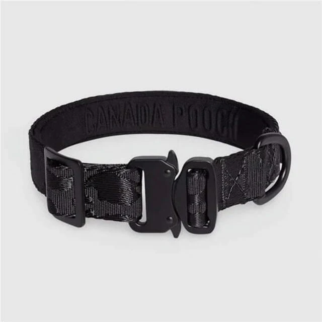 Canada Pooch Waterproof Dog Collar - Image 3