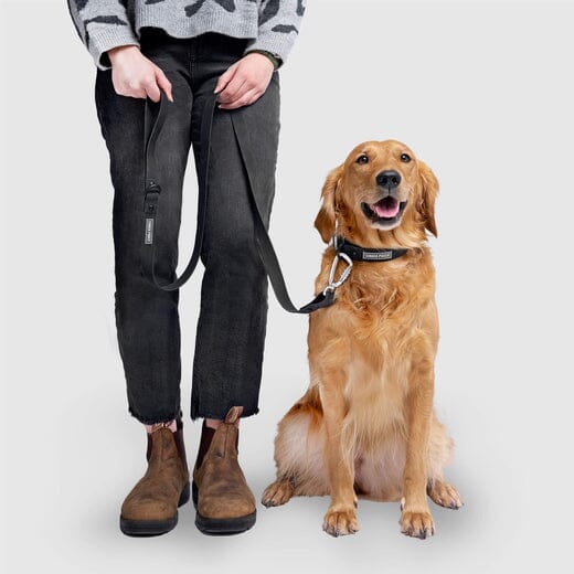 Canada Pooch Waterproof Dog Leash - Image 2