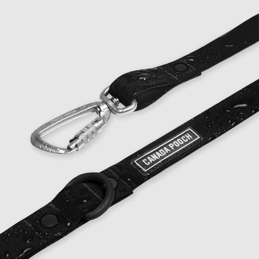 Canada Pooch Waterproof Dog Leash - Image 3