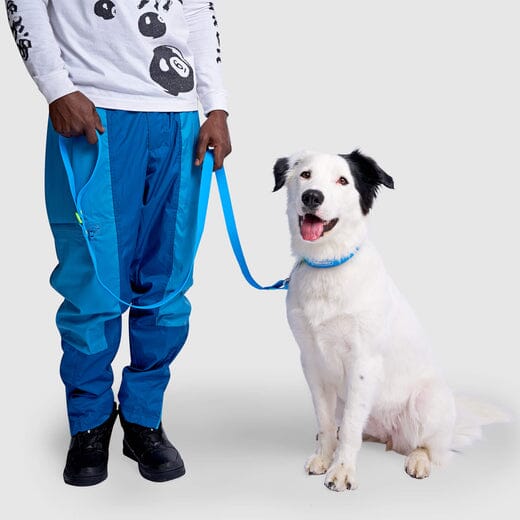 Canada Pooch Waterproof Dog Leash - Image 5