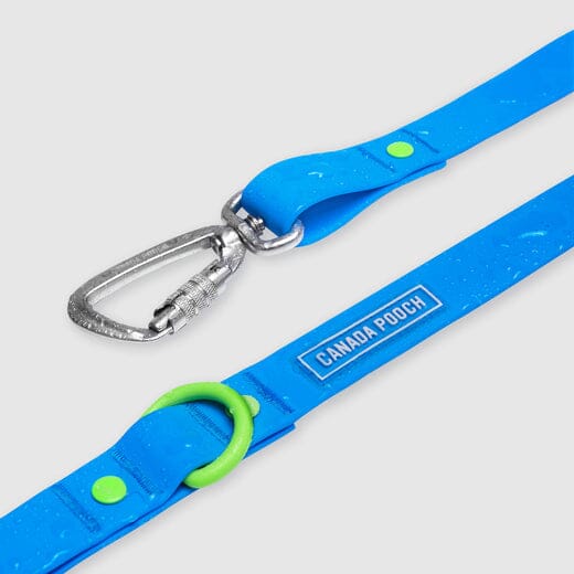 Canada Pooch Waterproof Dog Leash - Image 6