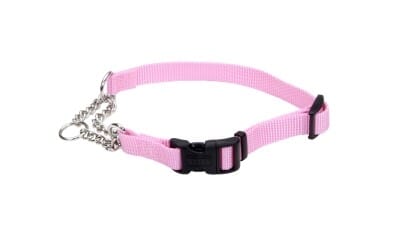 Coastal Adjustable Check Training Dog Collar with Buckle - Image 11