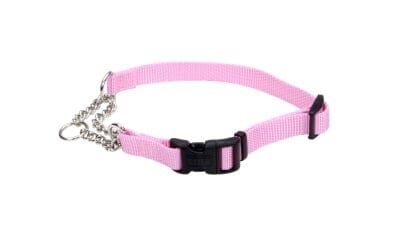 Coastal Adjustable Check Training Dog Collar with Buckle - Image 12