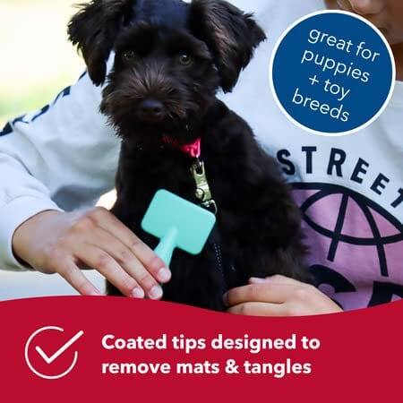 Coastal Li'L Pals Slicker Pet Brush with Coated Tips - Image 3
