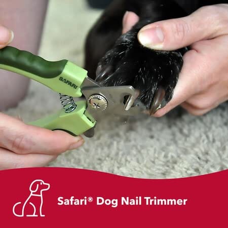 Coastal Safari Stainless Steel Pro Nail Trimmer - Image 7