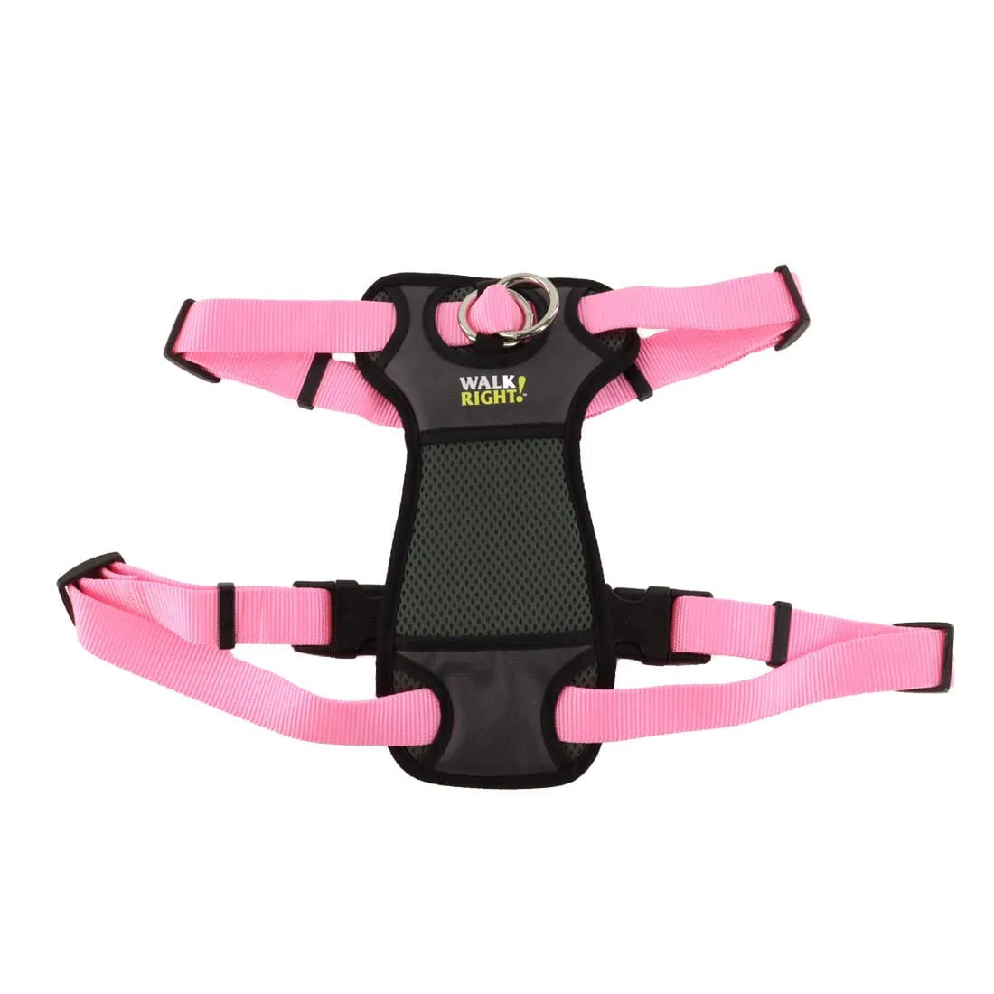 Coastal Walk Right No-Pull Padded Dog Harness - Image 3
