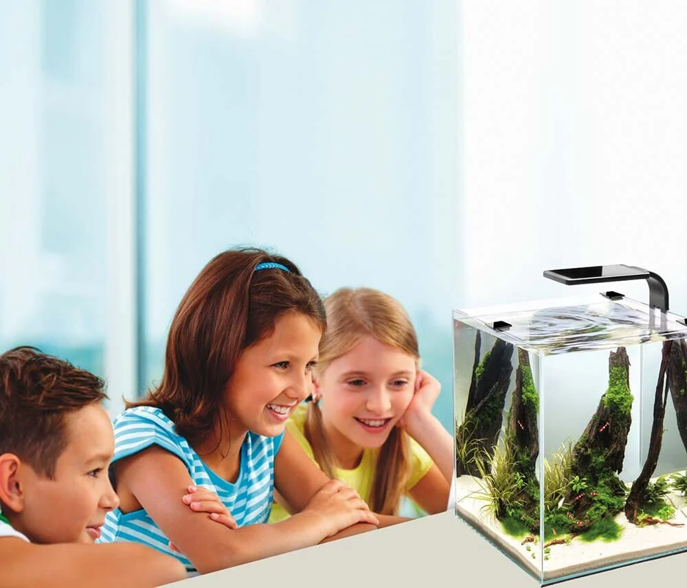 Cobalt Aquatics Microvue3 10 Glass Aquarium Kit - 2.6 Gal - Image 4