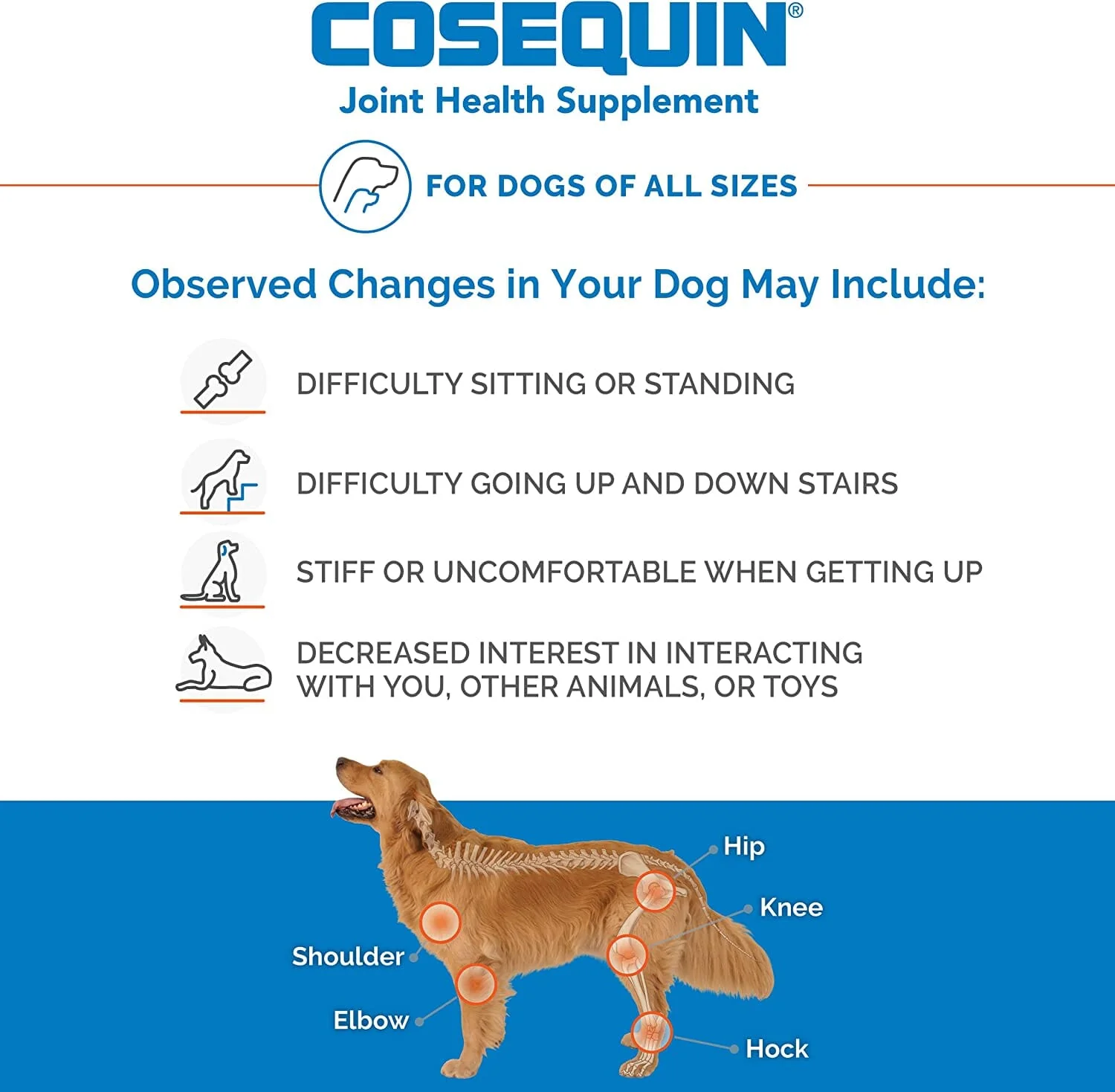 Cosequin Ds Max Strength + Msm Chews Dogs Mass Dog Joint Care - 60 Count - Image 2