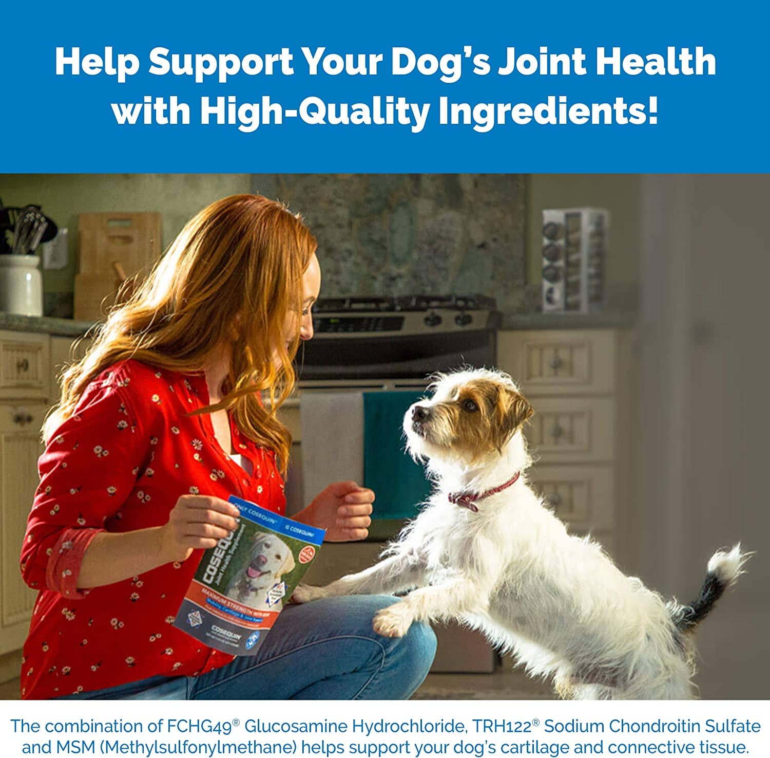 Cosequin Ds Max Strength + Msm Chews Dogs Mass Dog Joint Care - 60 Count - Image 5