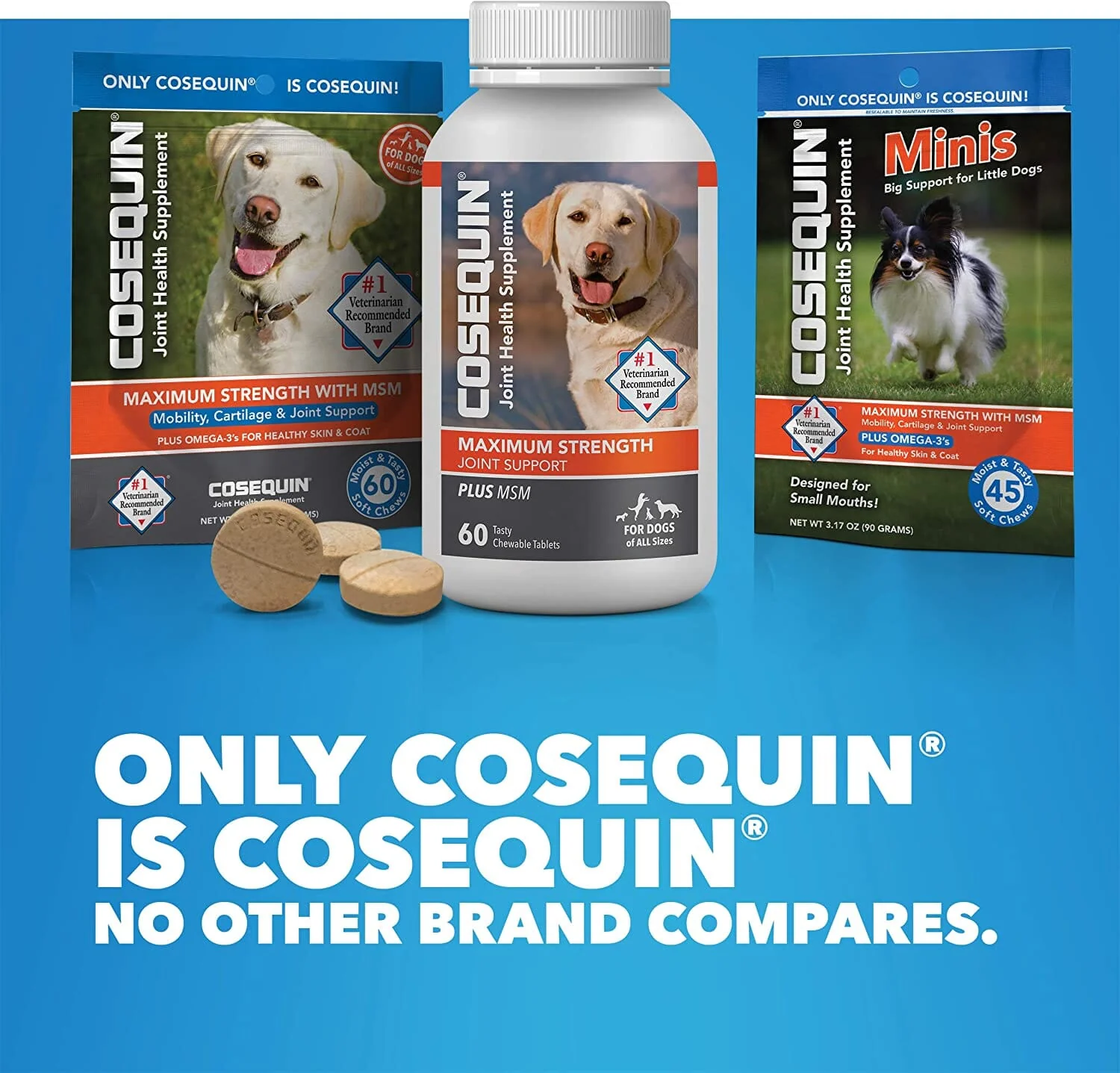 Cosequin Ds Max Strength + Msm Chews Dogs Mass Dog Joint Care - 60 Count - Image 6