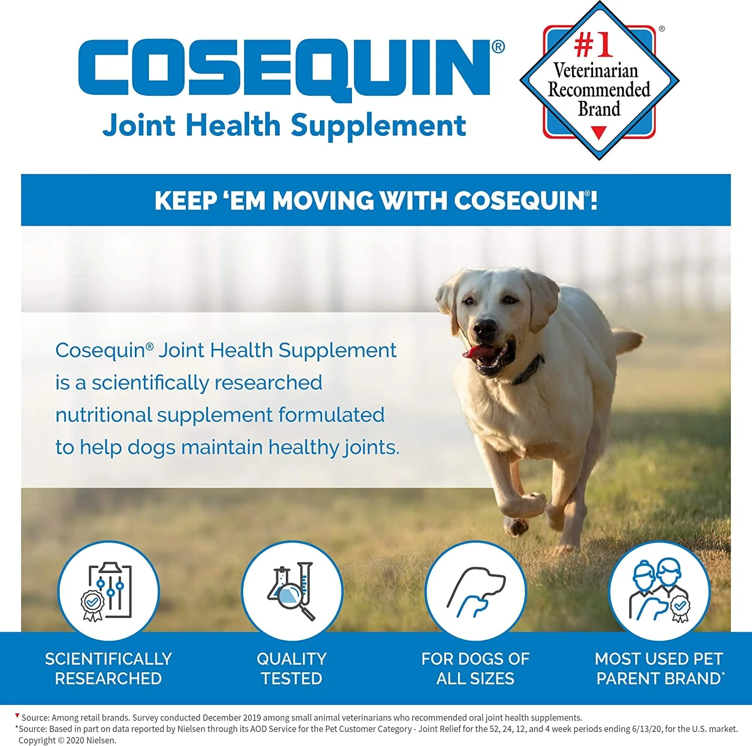 Cosequin Pro Ds Joint Supplement Chews for Dogs - 60 Count - Image 2
