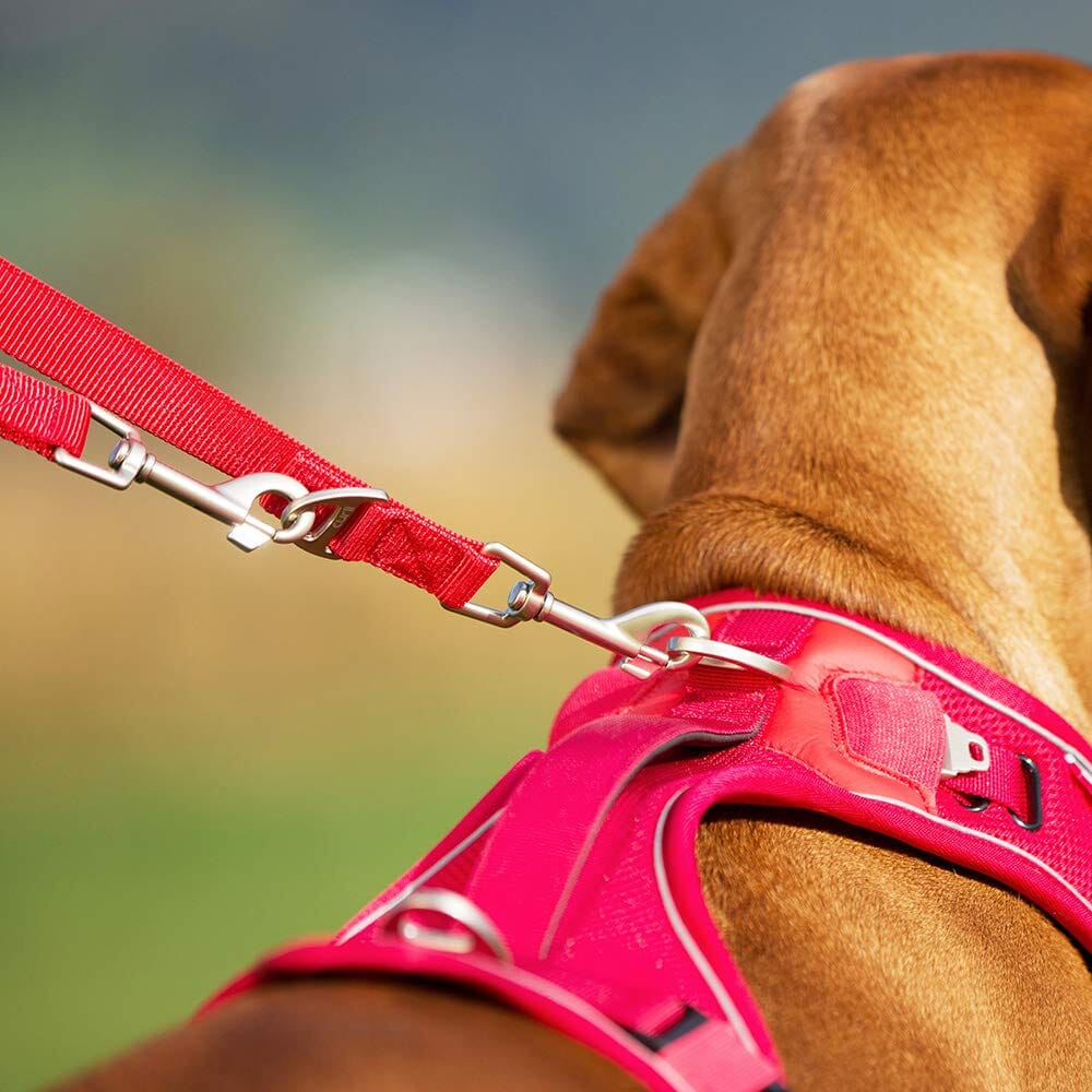 Curli Adjustable Nylon Dog Leash - Black - Large - Image 3