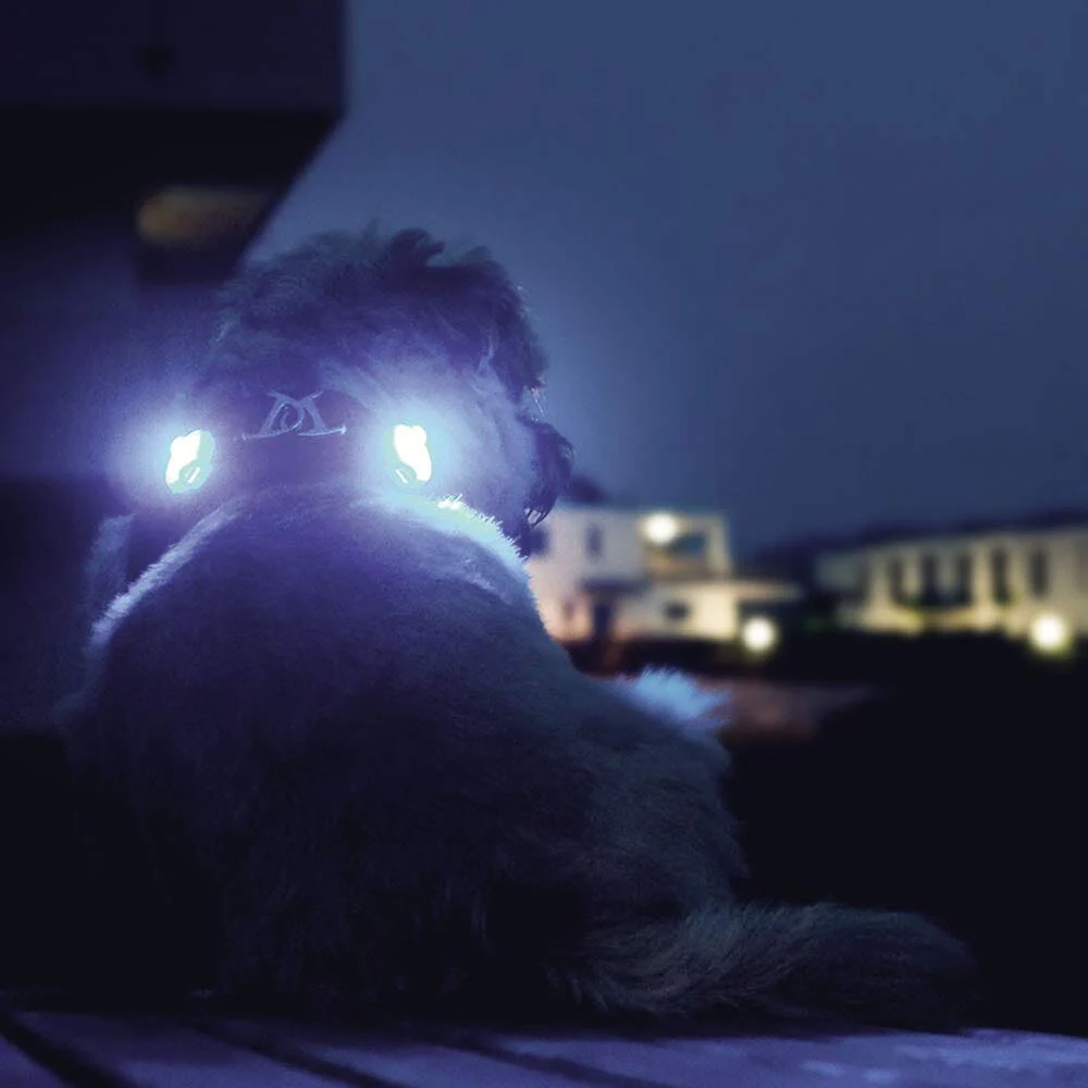 Curli Luumi LED Safety Light - Cyan - 2 Pack - Image 4